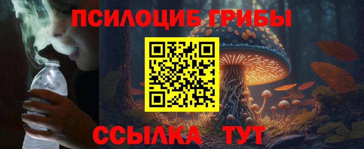 Псилоцибиновые грибы Psilocybine cubensis Моздок