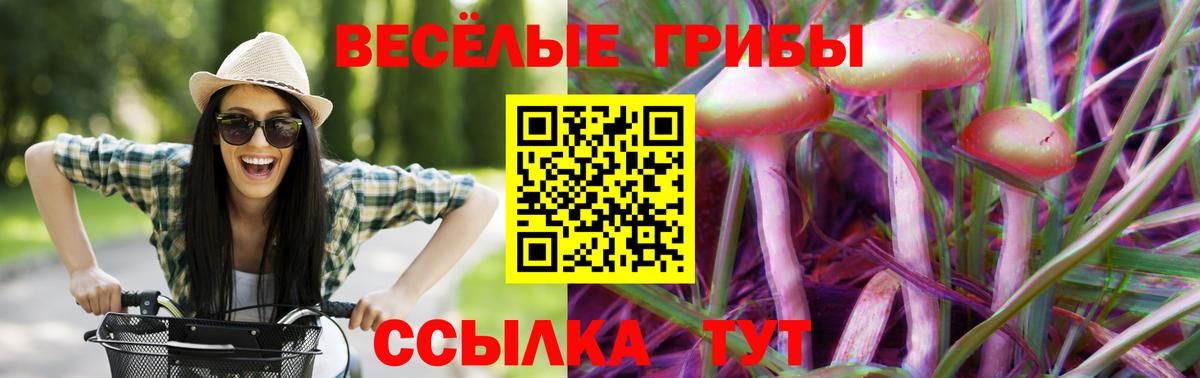 Галлюциногенные грибы Psilocybine cubensis  Вход с VPN  Моздок  Галлюциногенные грибы мицелий 