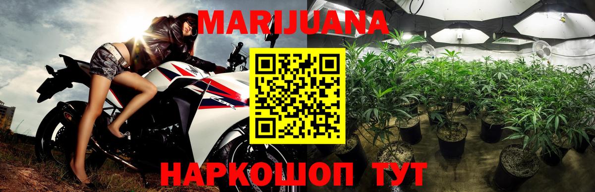 Бошки Шишки марихуана Моздок